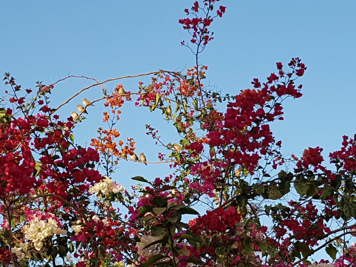 Le Dolmen De Mbour Apartment ภายนอก รูปภาพ