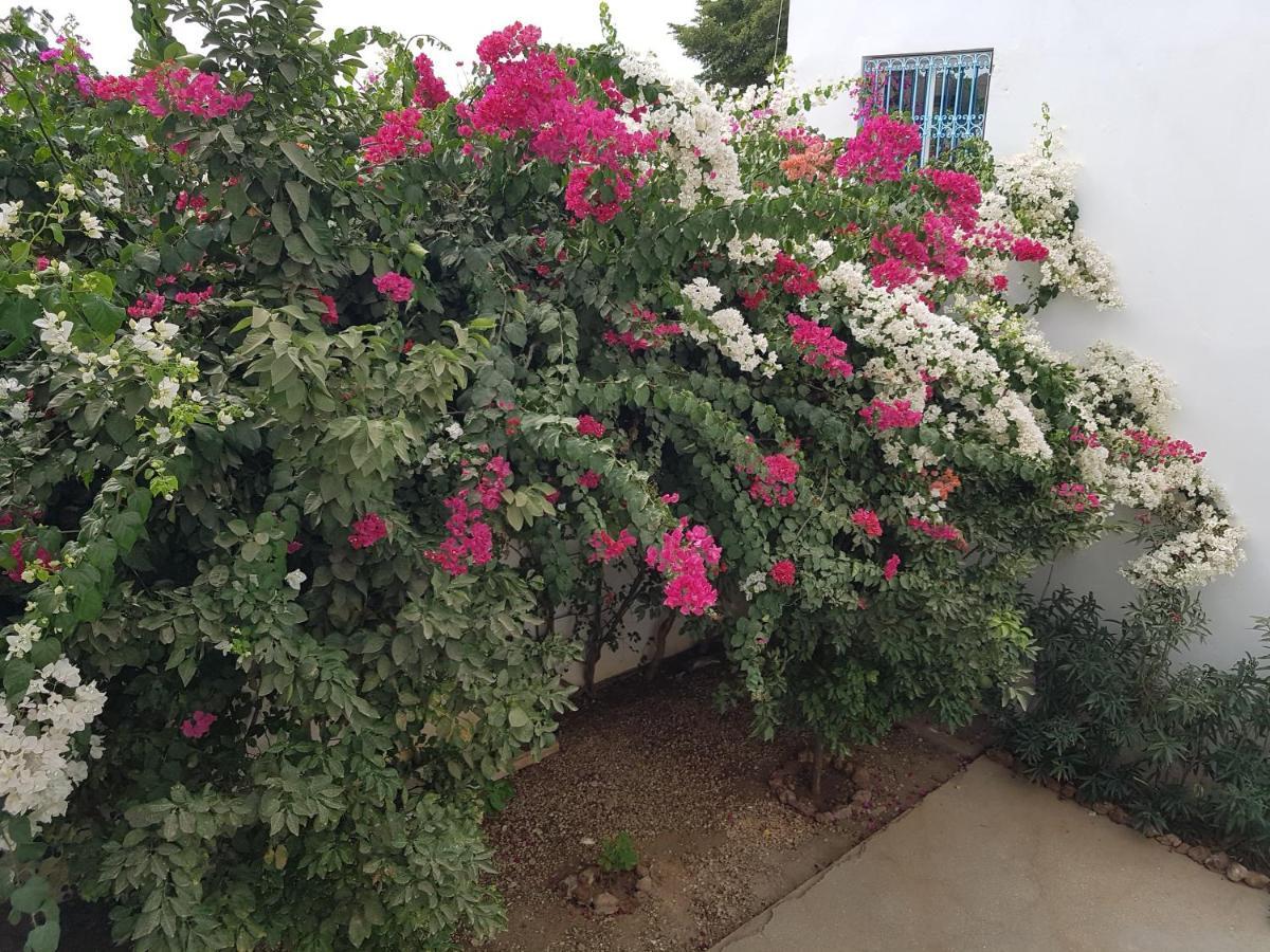 Le Dolmen De Mbour Apartment ภายนอก รูปภาพ
